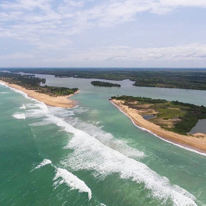 eco-benin-protection-preservation-mangroves-afrique1