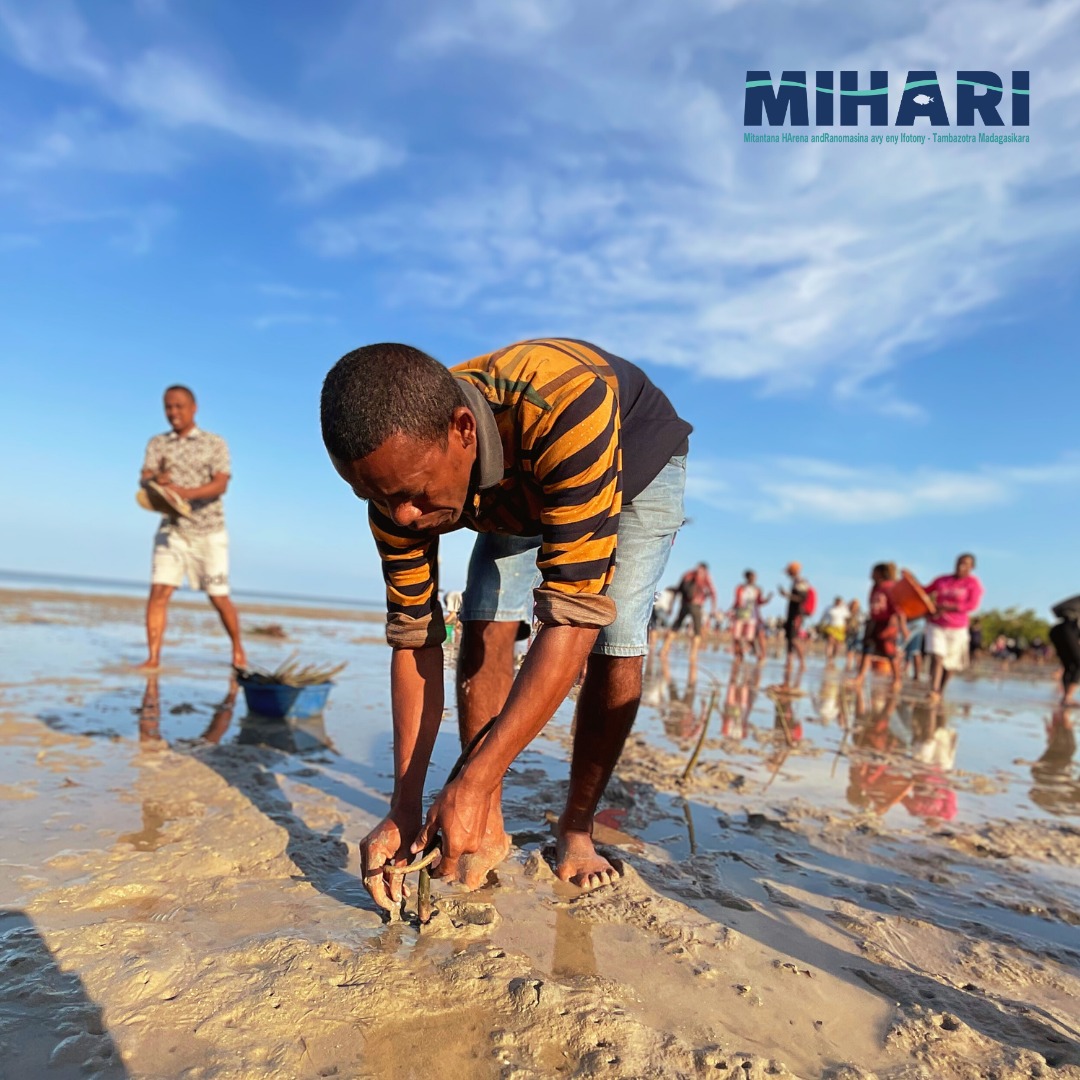 mihari-mangroves-network-protection-preservation-mangroves-afrique