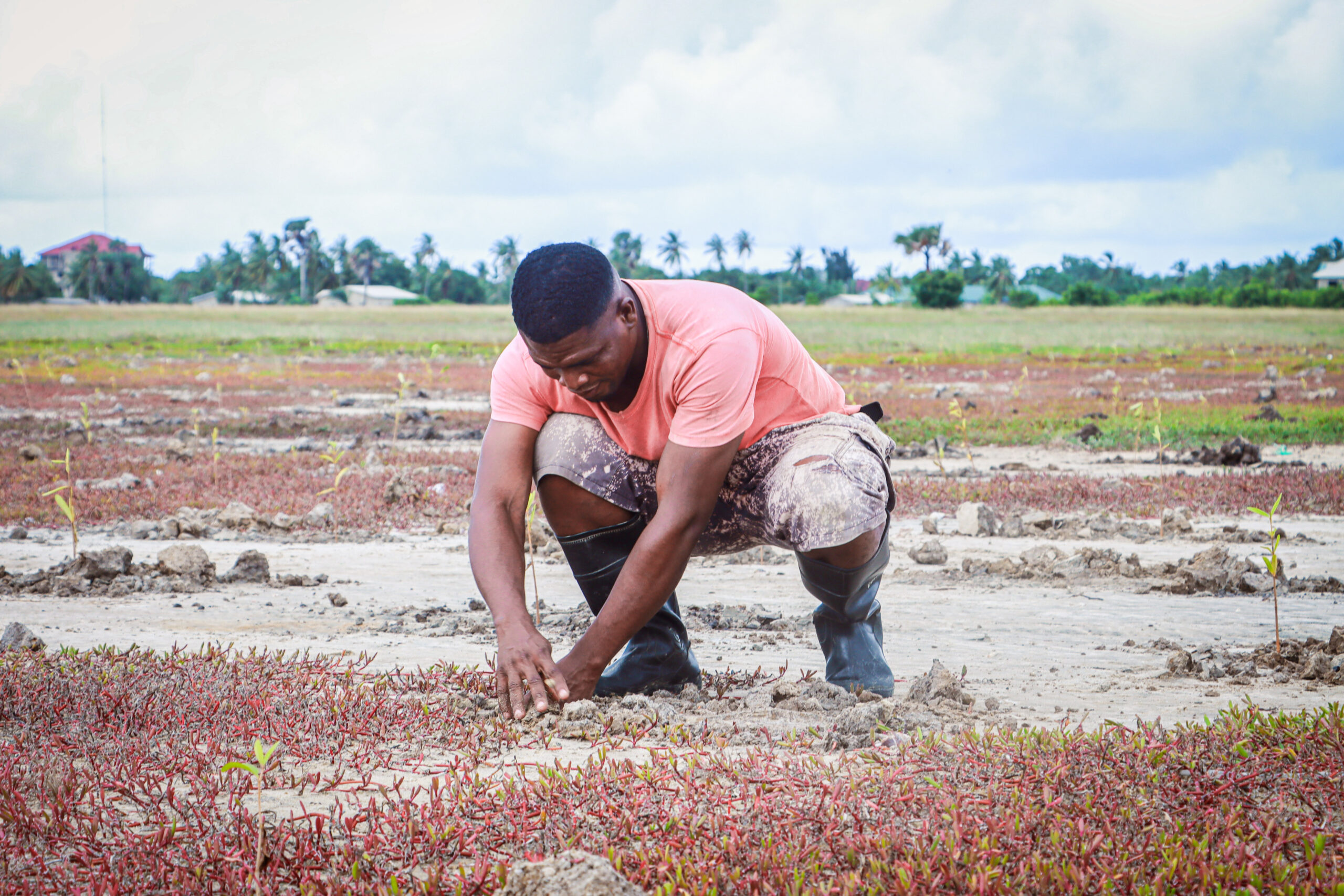 Visite d'échange Ghana