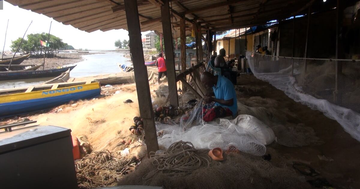 guinee:-face-a-la-rarete-du-poisson,-les-acteurs-de-l’economie-bleue-tirent-la-sonnette-d’alarme