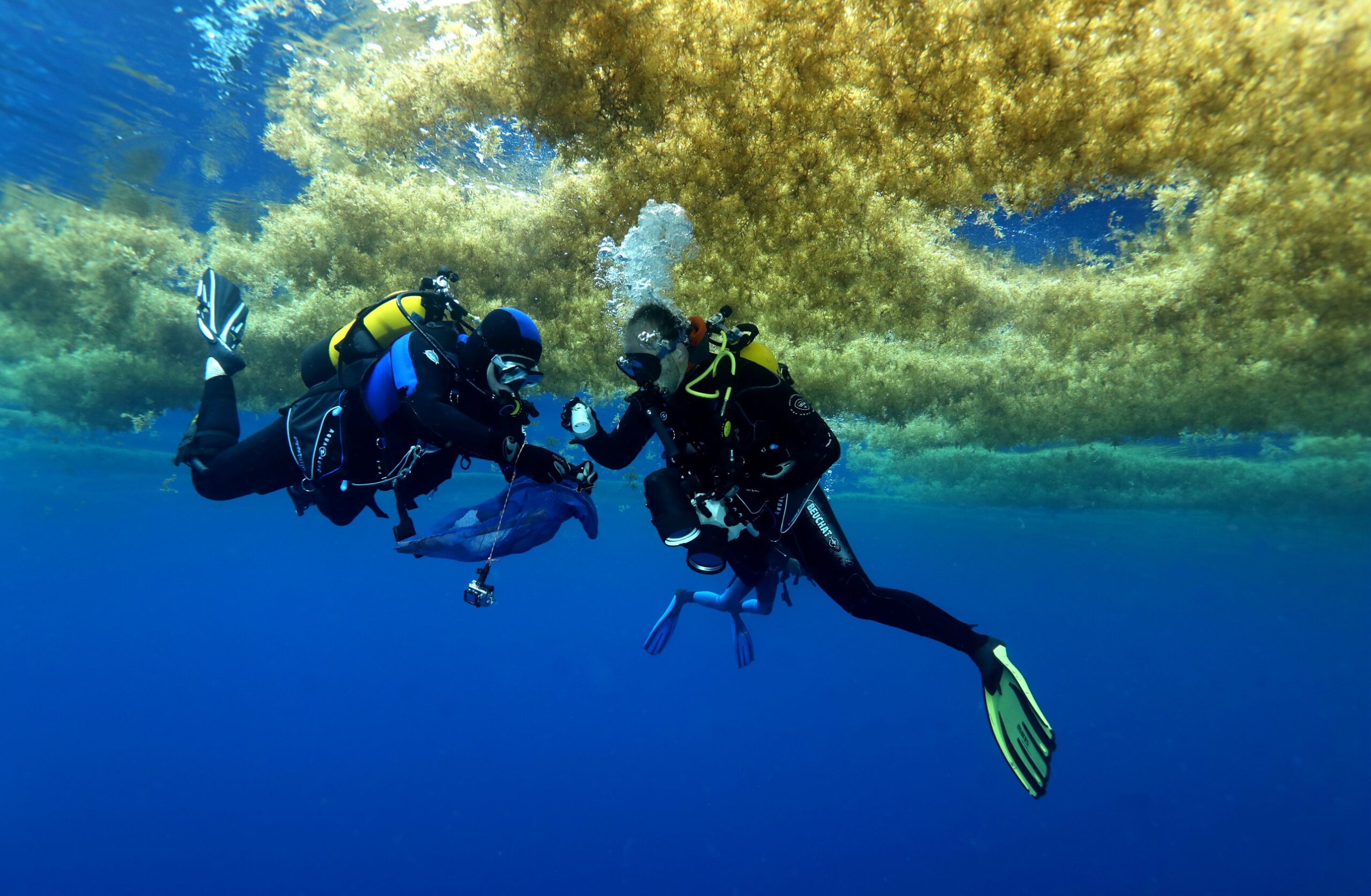 retour-sur-la-conference-«immersed-in-change»-|-site-web-ird