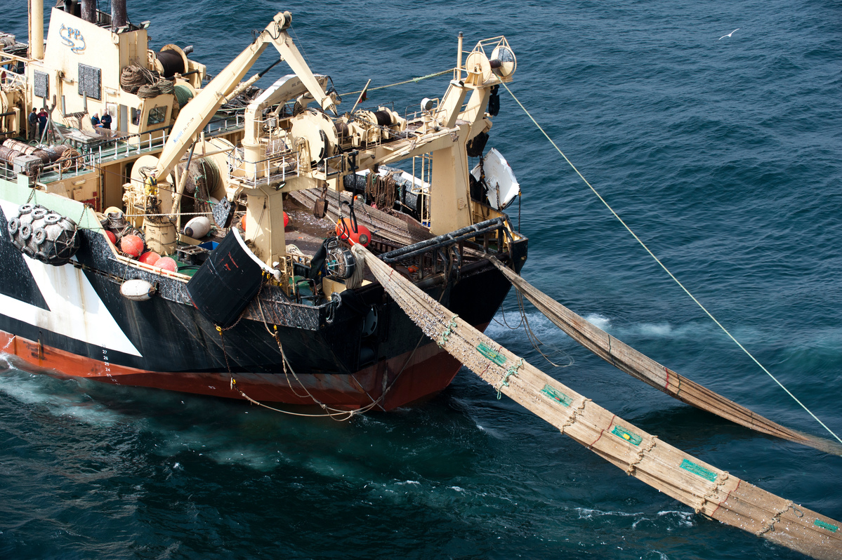 afrique-de-l’ouest-:-ces-maux-qui-gangrenent-la-peche-–-greenpeace-africa