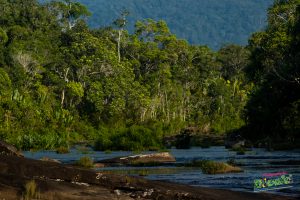 sauvons-les-especes-menacees-dans-nos-aires-protegees