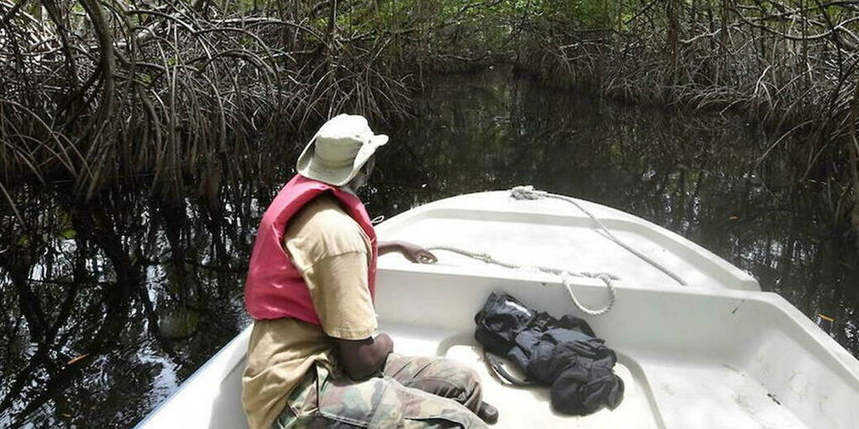 ghana:-face-a-la-montee-des-eaux,-l’enjeu-de-la-preservation-des-mangroves