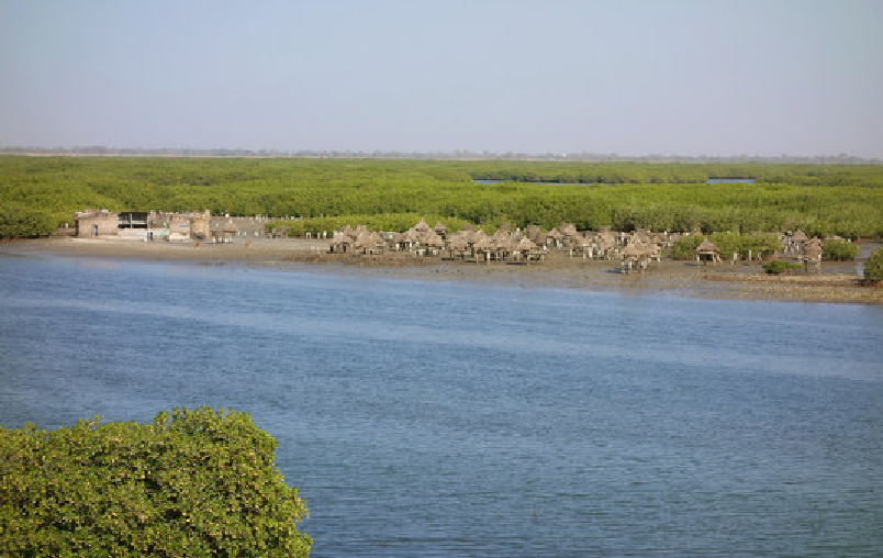 aire-marine-protegee-:-joal,-un-modele-en-afrique