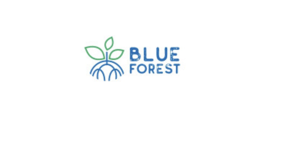 blue-forest-lance-le-plus-grand-projet-de-restauration-de-mangrove-d