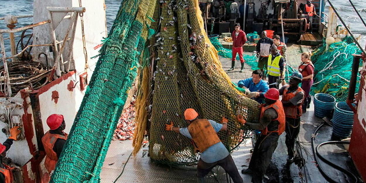 peche:-comment-la-chine-pille-les-mers-africaines