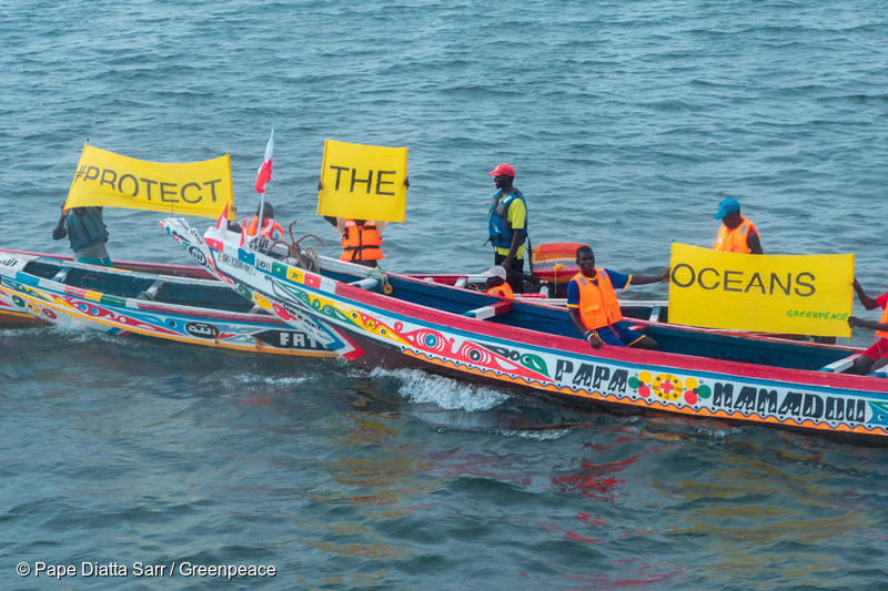 oceans-en-danger-:-le-cameroun-s’engage-enfin-pour-la-protection-des-oceans-–-greenpeace-africa