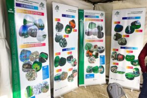 journee-internationale-de-la-biodiversite-2025:-foire-de-la-biodiversite