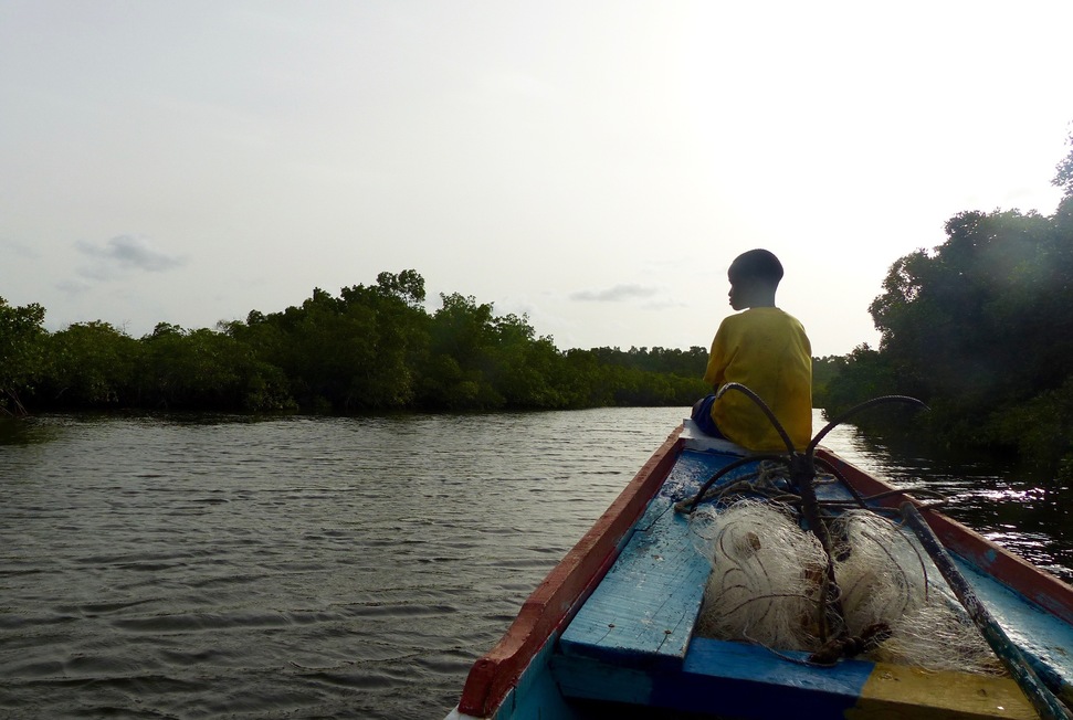senegal:-immersion-dans-le-delta-du-saloum,-au-royaume-de-la-mangrove
