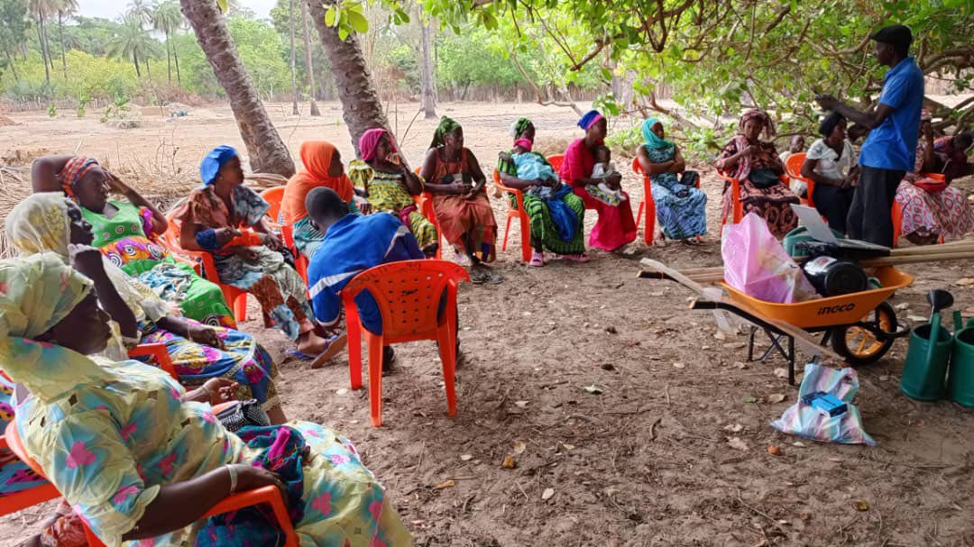 eclosio=senegal-miproII