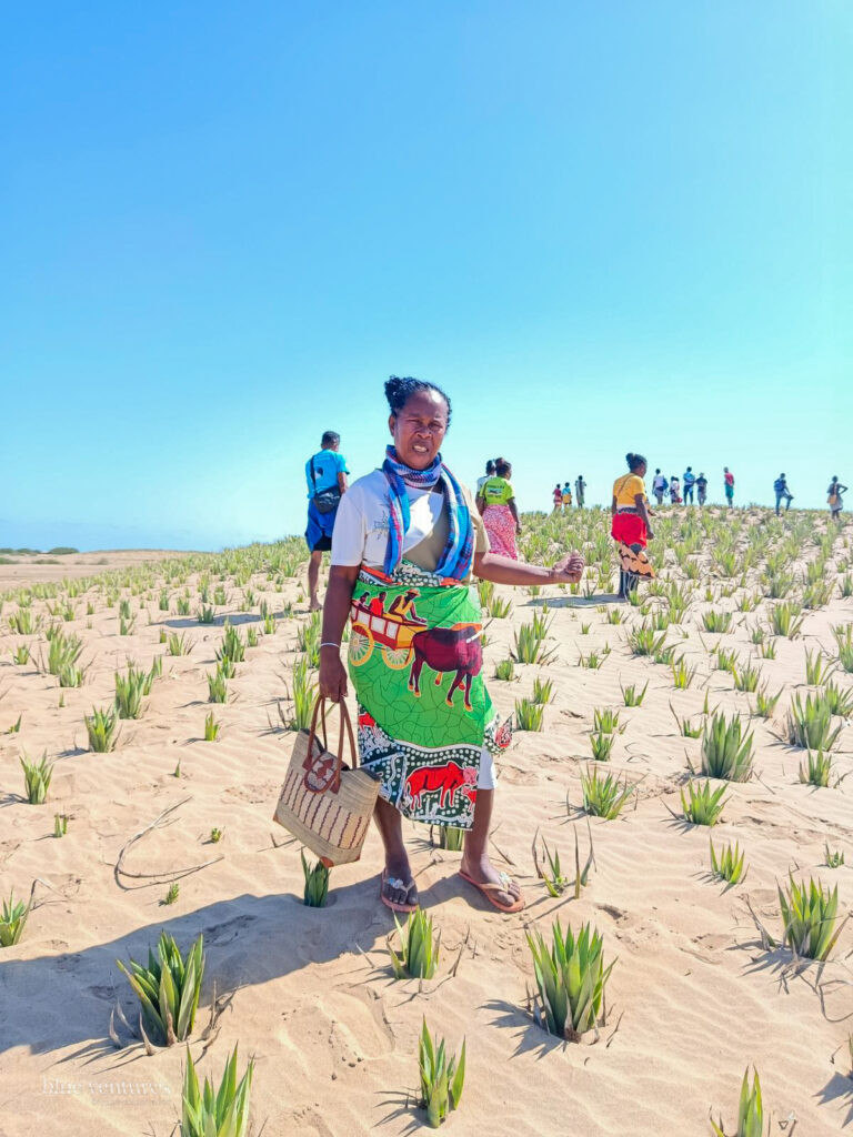 535487125_781152567798066_7651143121989205597_n