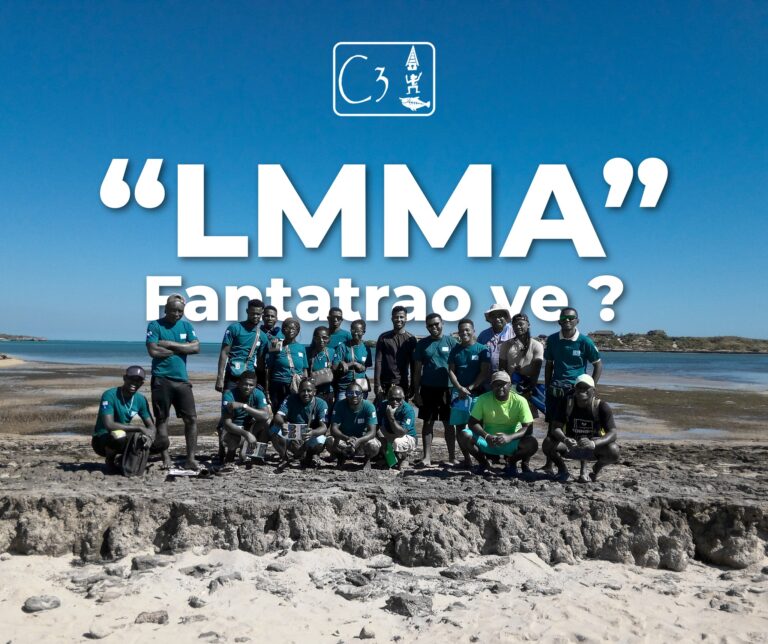 reseau-mihari-ocean-conservation-madagascar